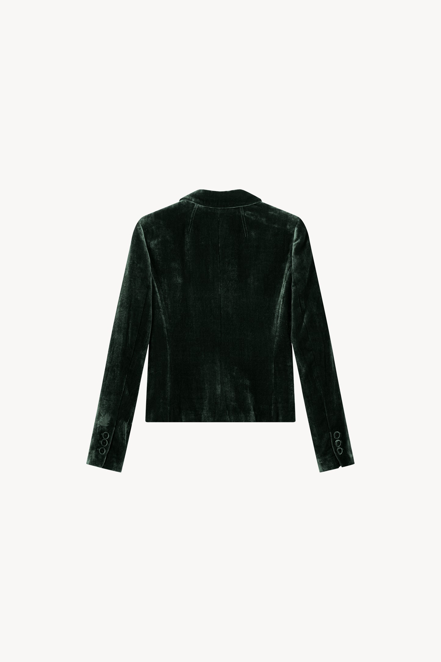 Blazer ajusté en velours, col tailleur. Fermeture à deux boutons. Détails de six boutons sur les manches et poches passepoils.
